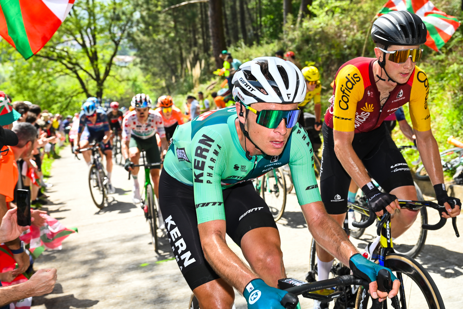 Itzulia